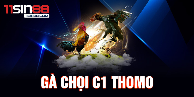 1.Ga choi C1 Thomo