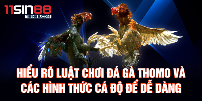 Hiểu rõ luật chơi đá gà Thomo và các hình thức cá độ để dễ dàng giành chiến thắng.